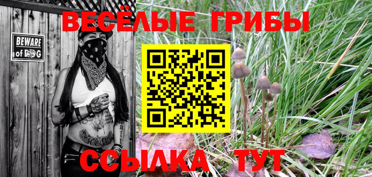 Галлюциногенные грибы прущие грибы  Псилоцибиновые грибы Cubensis  Вход с VPN  Узловая 